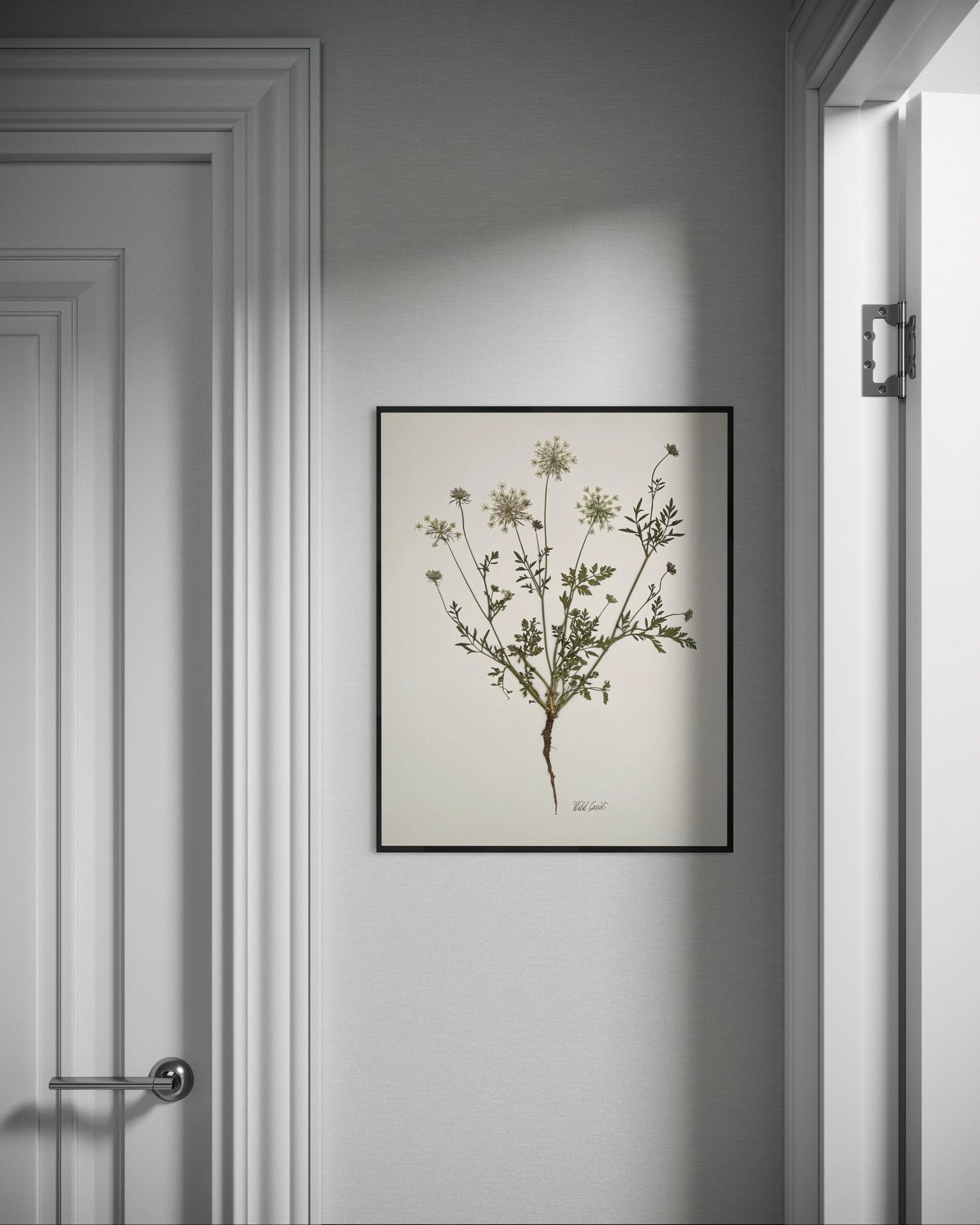 Wild Carrot with Root on Ivory