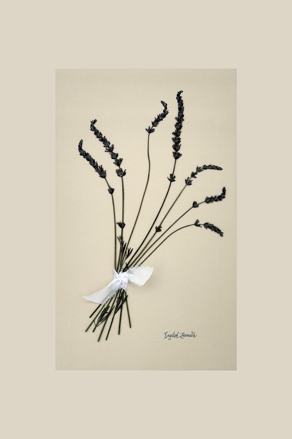 English Lavender Bouquet