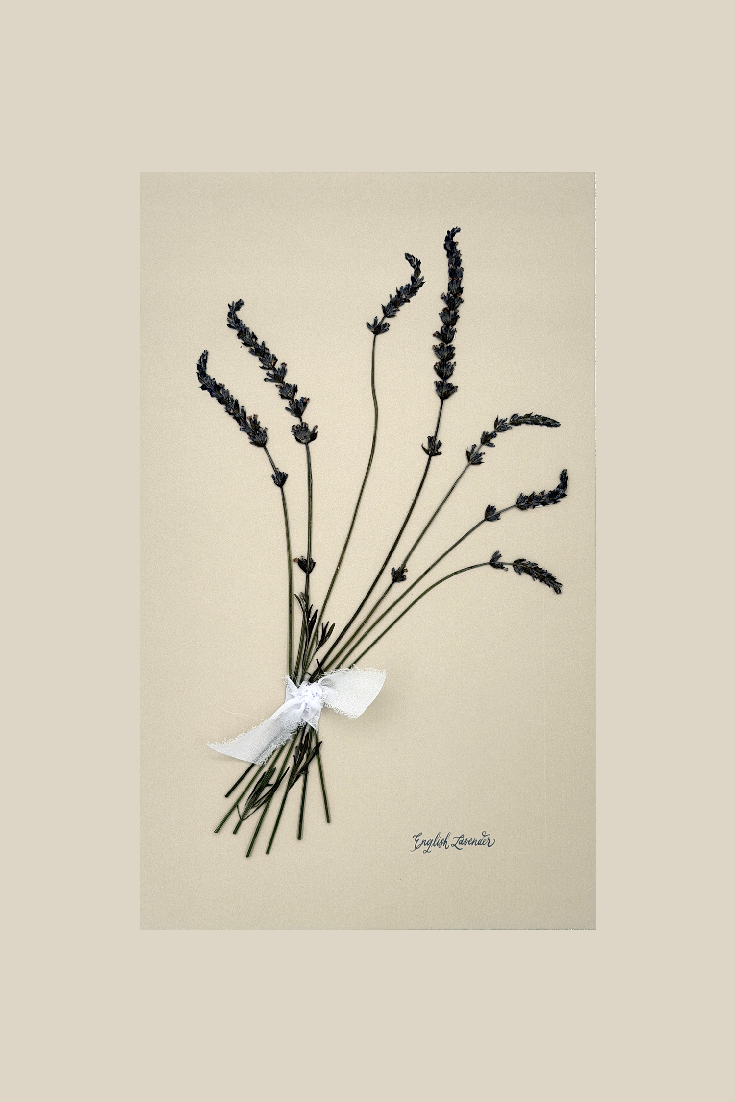 English Lavender Bouquet
