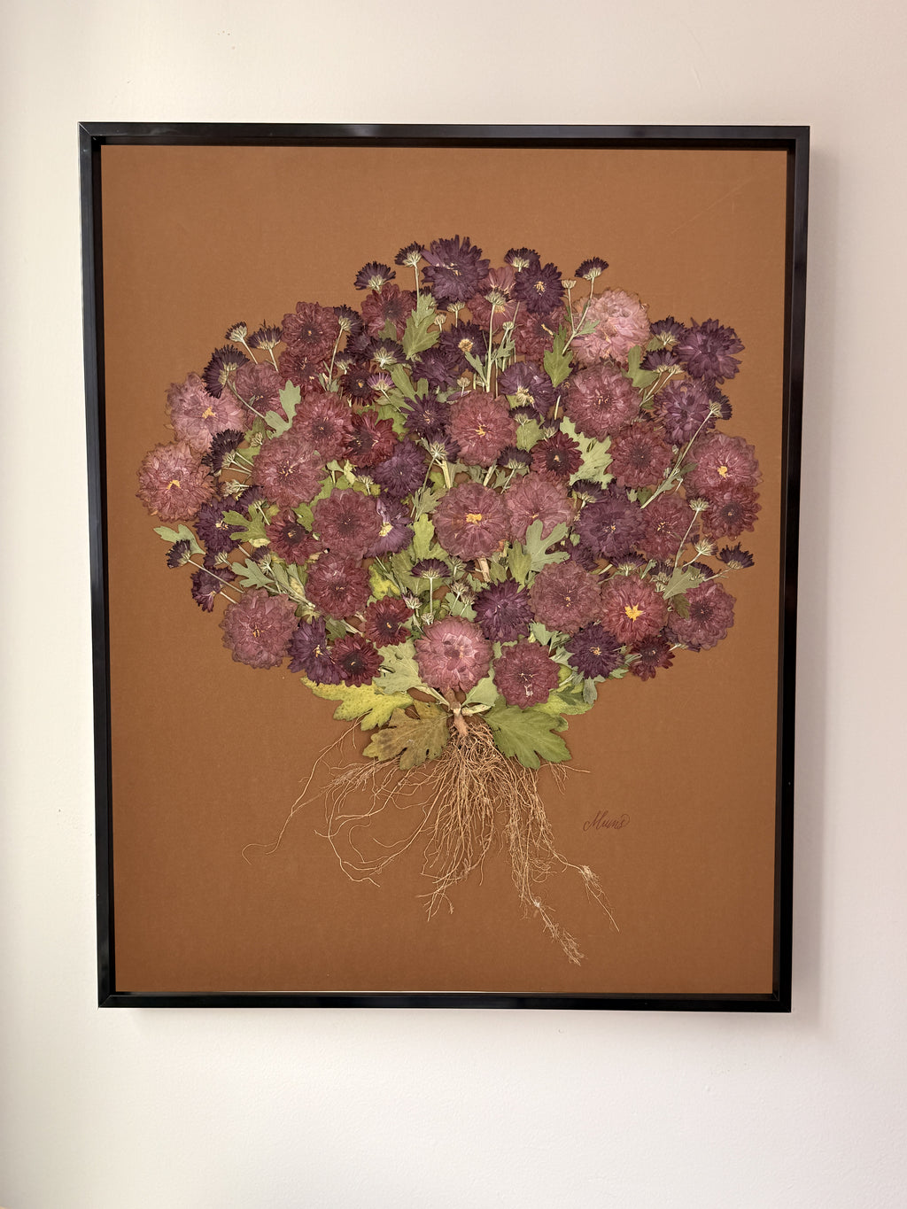 Framed Wine Colored Mums on Chocolate