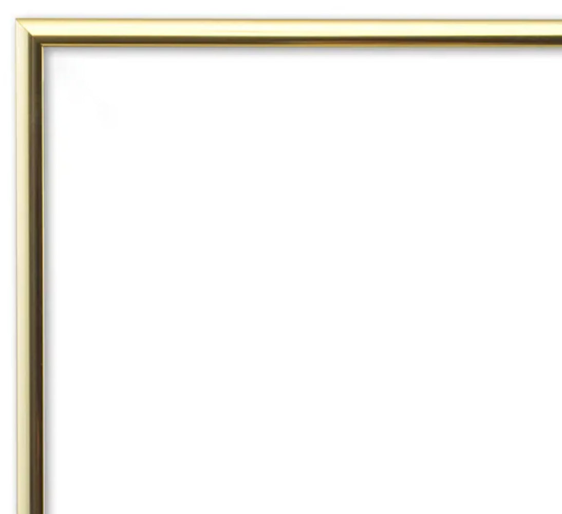 Champagne Gold Metal UV Protection Low Glare 11x17