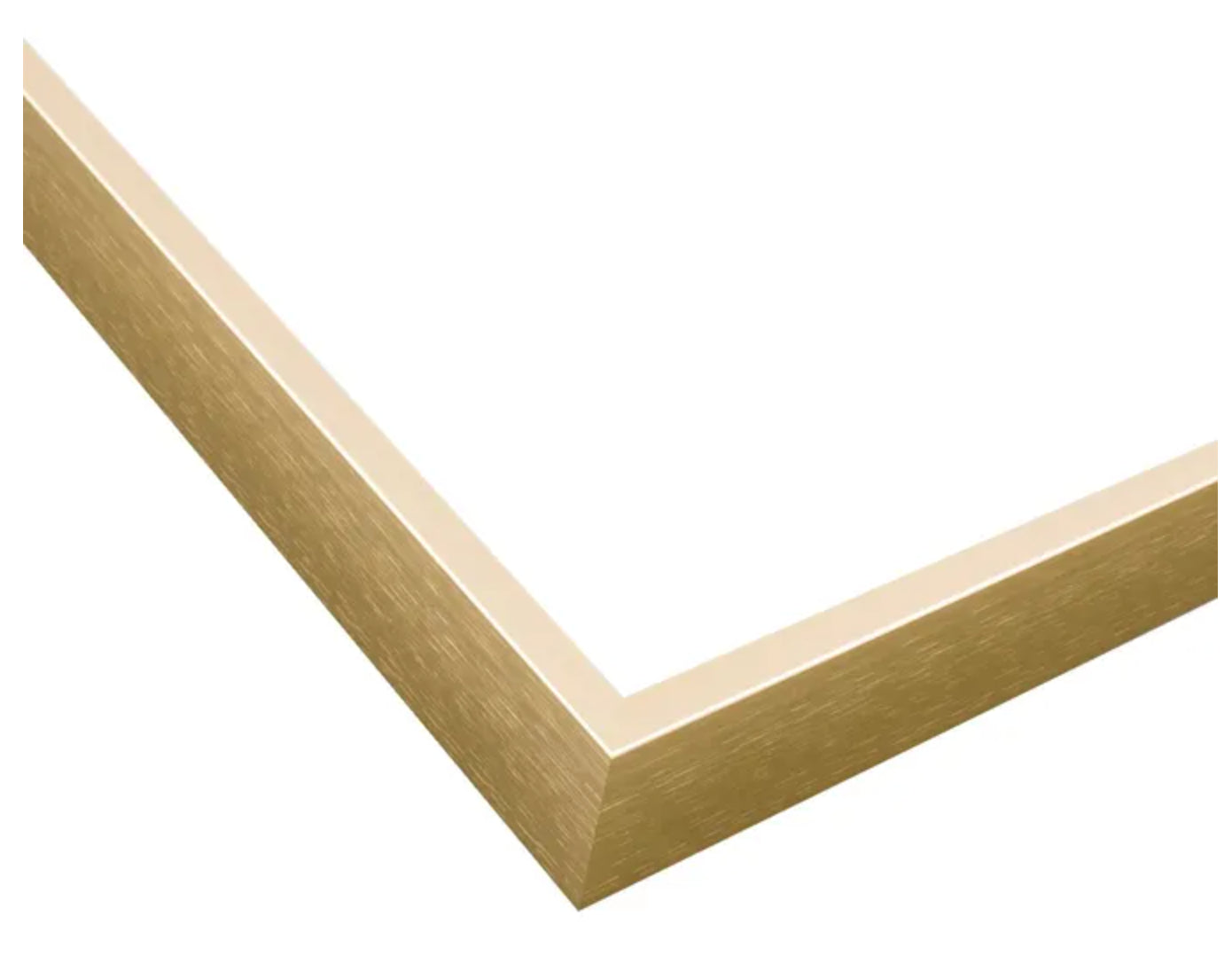 Champagne Gold Metal UV Protection Low Glare 16x20 Frame