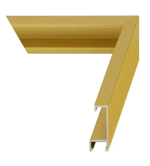 Brushed Gold Metal 16x20 Custom Low Glare UV Protection Frame
