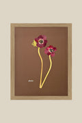Anenomes on Chocolate