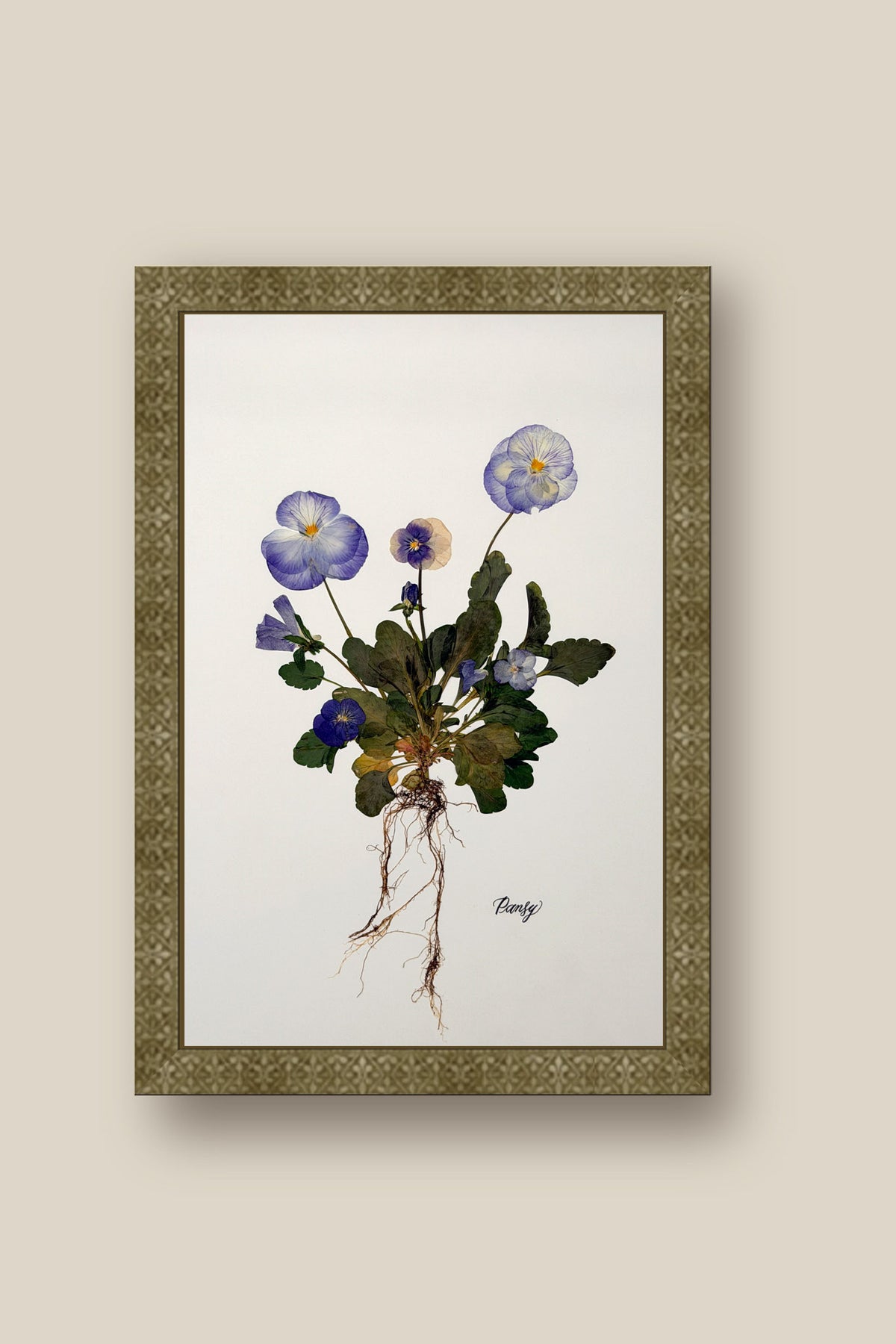 Blue Pansies with roots Framed