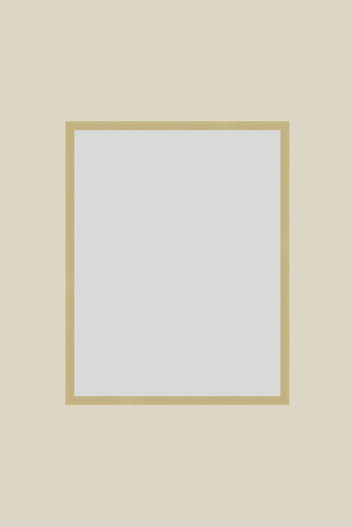 Brushed Gold Metal Custom 11x14 UV Protection Low Glare Frame