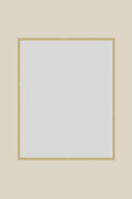 Brushed Gold Metal 16x20 Custom Low Glare UV Protection Frame