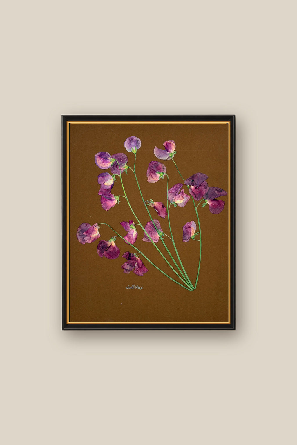 Sweet Peas on Brown Framed
