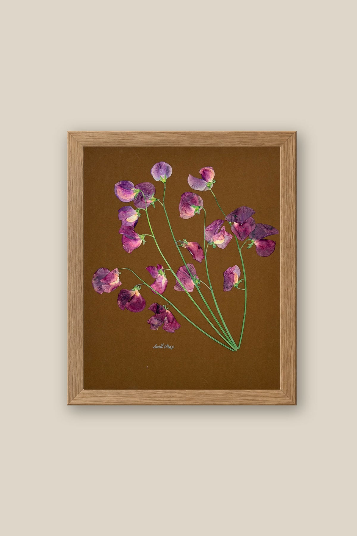 Sweet Peas on Brown Framed