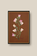 Pink Canterbury Bells Framed