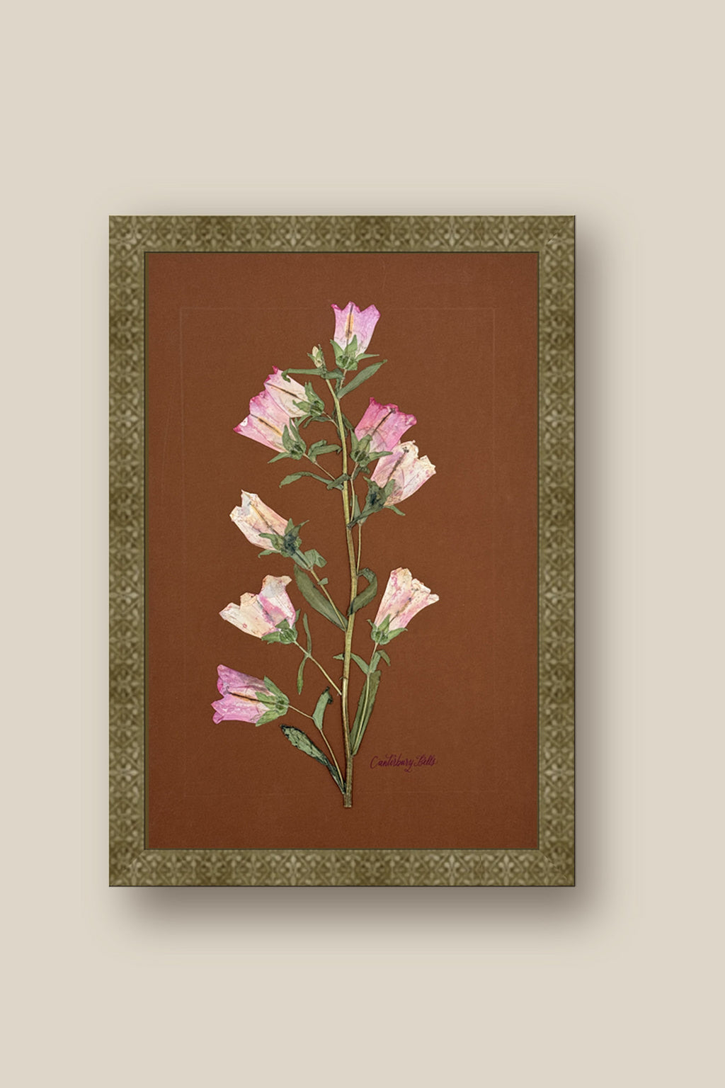 Pink Canterbury Bells Framed