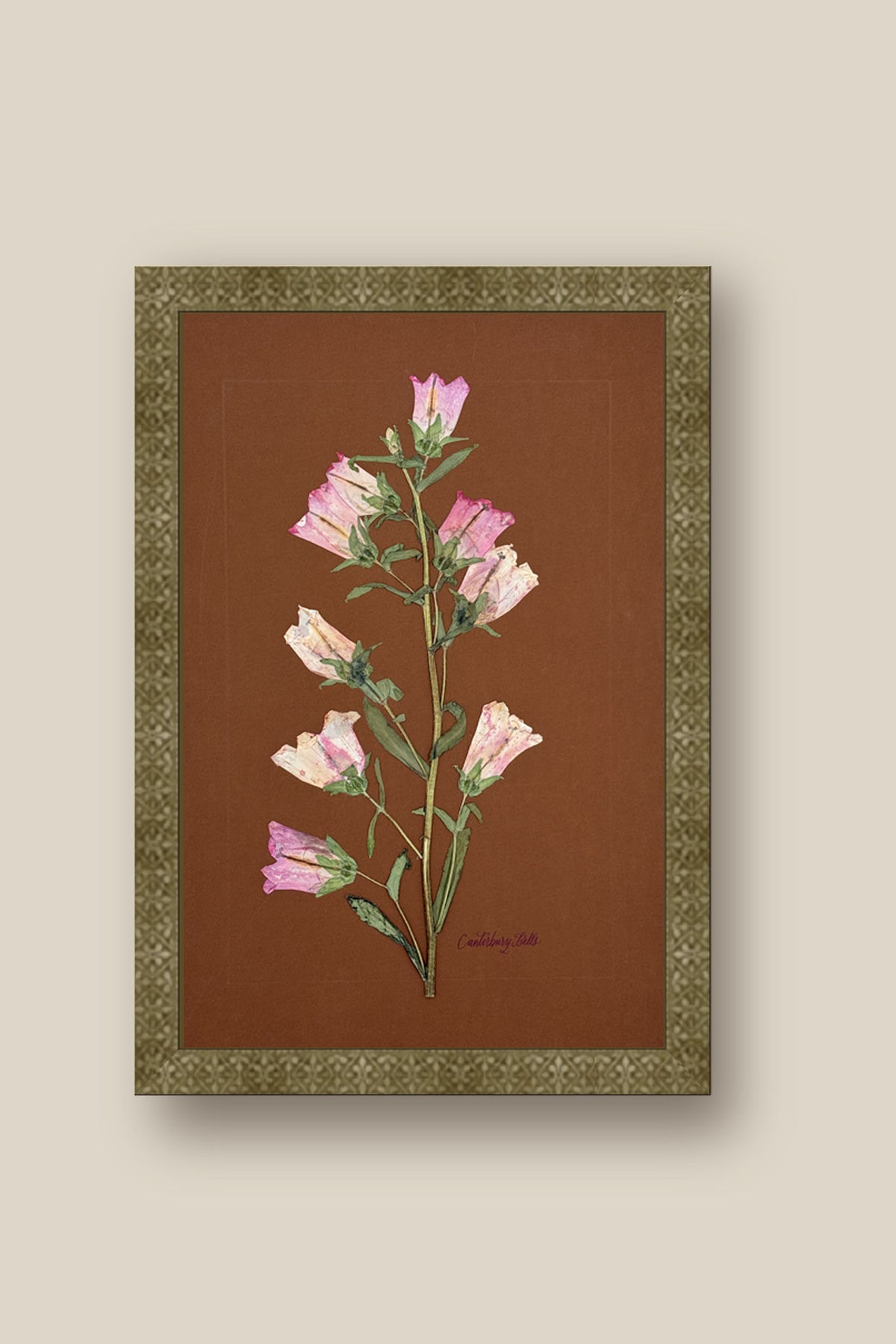 Pink Canterbury Bells Framed