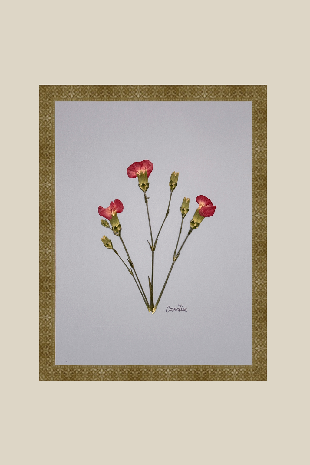 Carnations on Light Blue