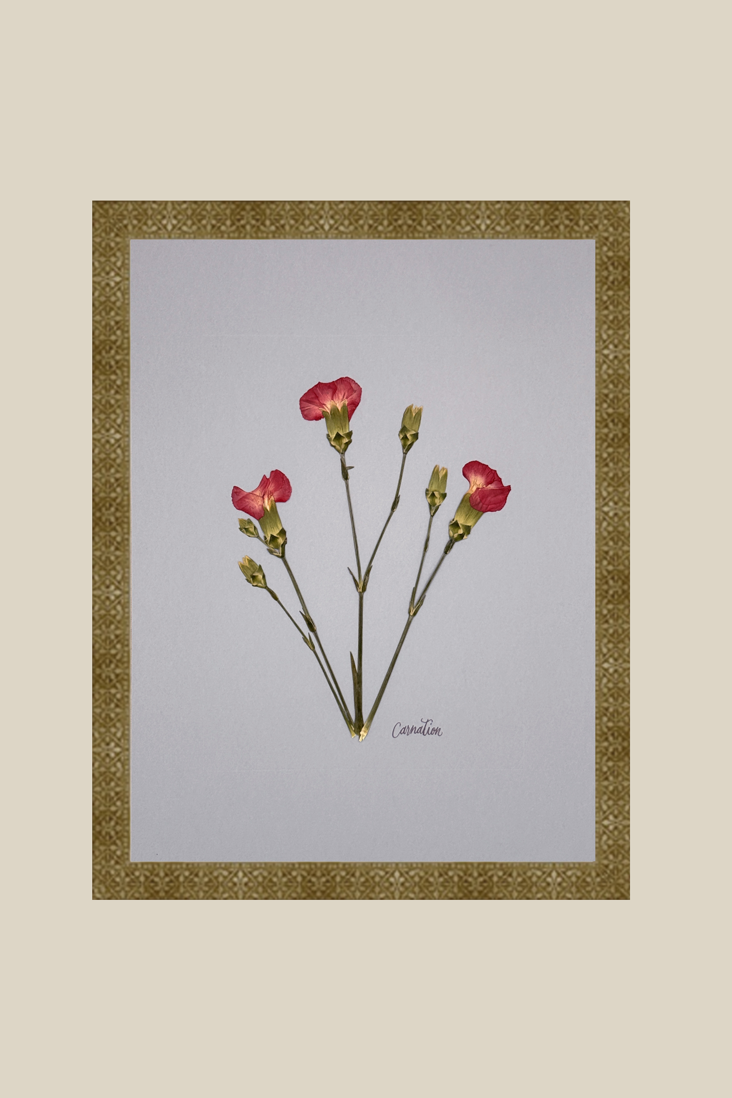 Carnations on Light Blue