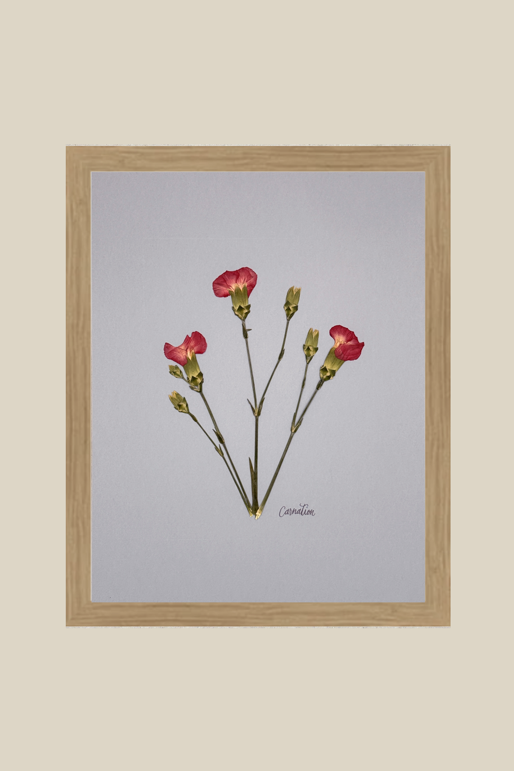 Carnations on Light Blue
