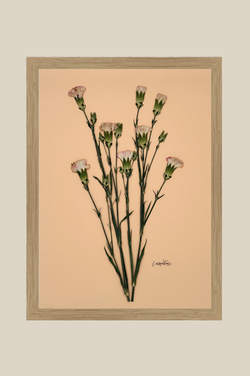 Carnations on Peach