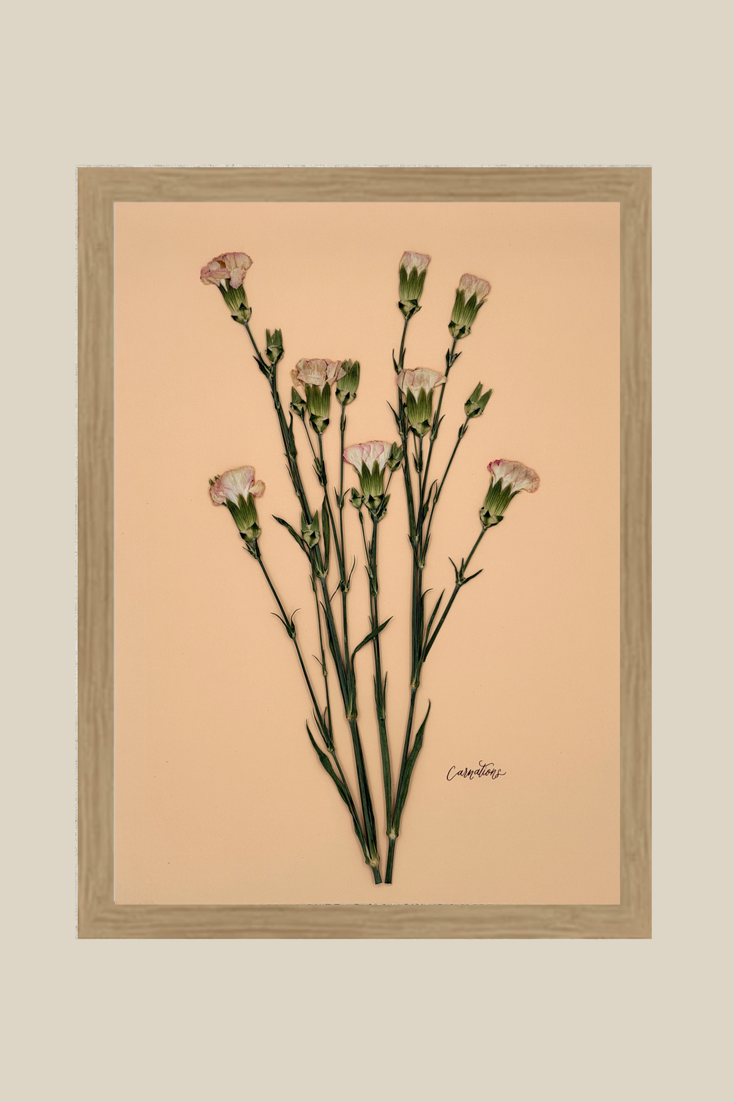 Carnations on Peach