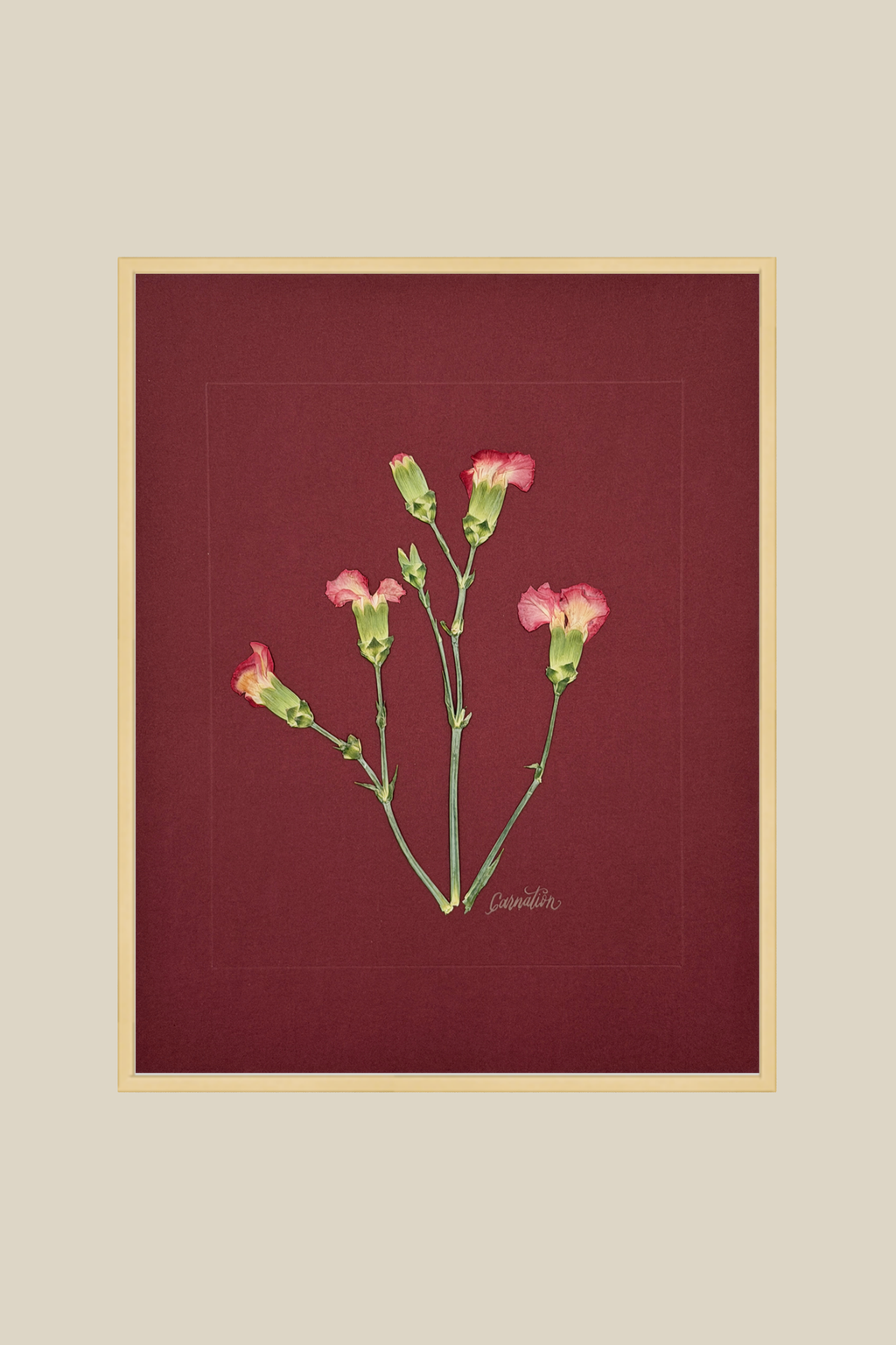 Carnations on Red