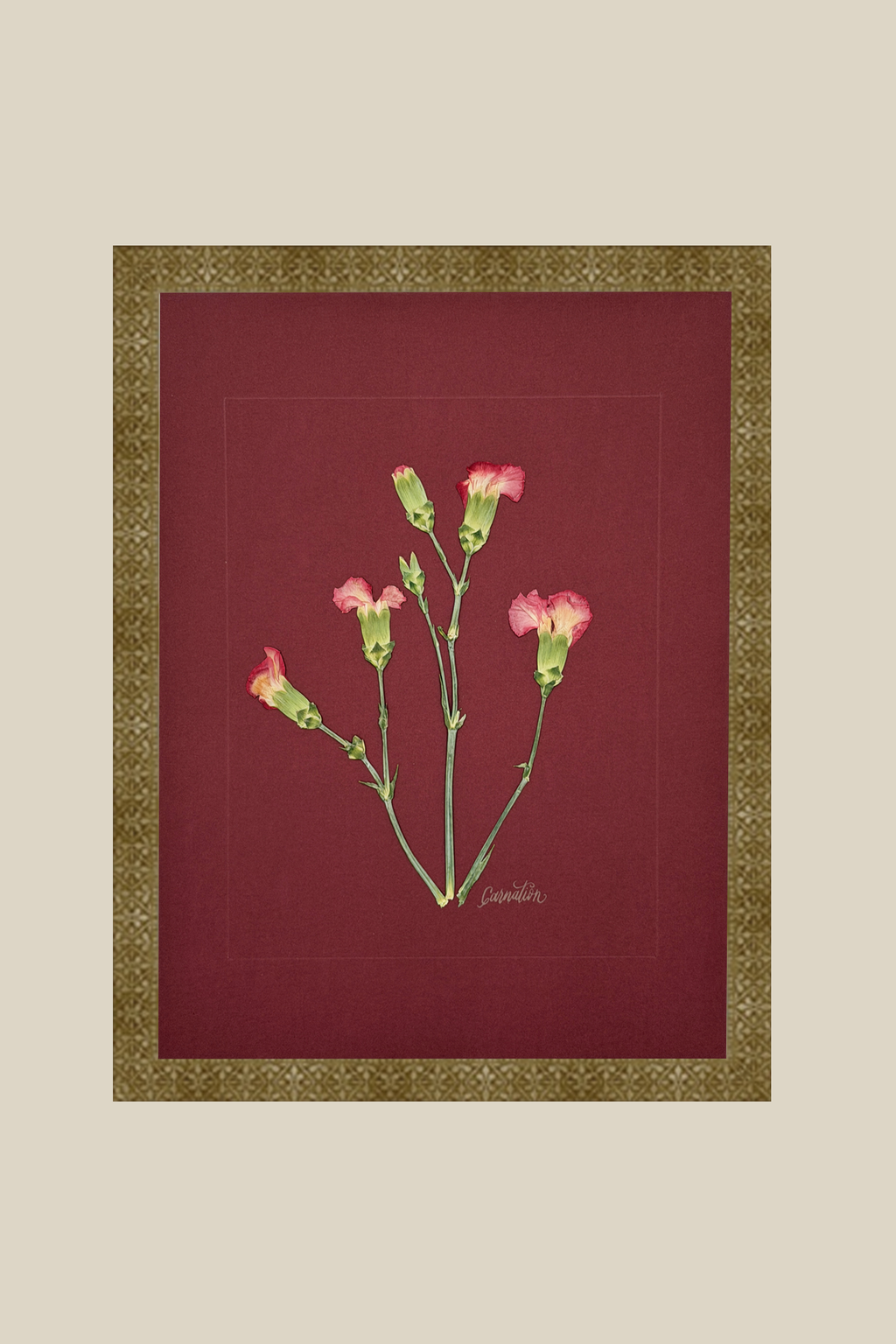 Carnations on Red