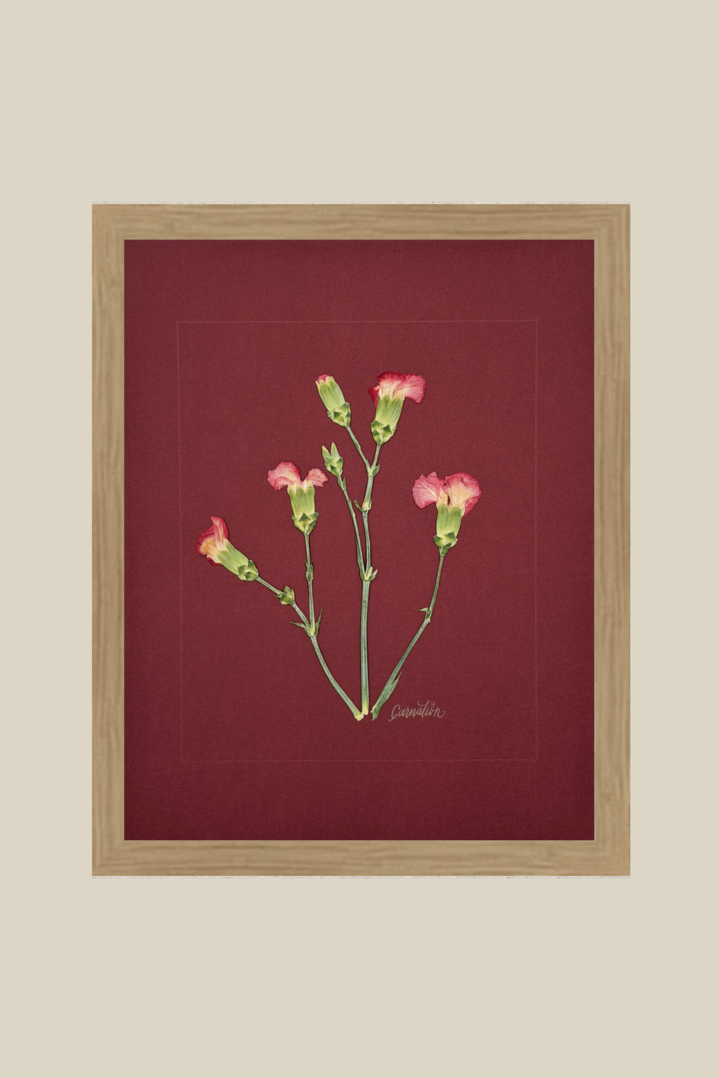 Carnations on Red