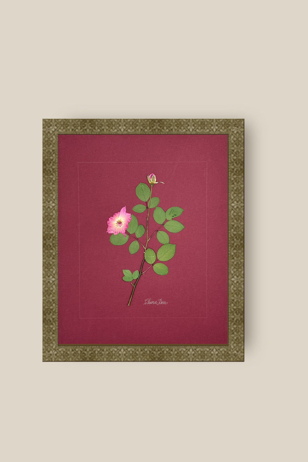 China Rose on wine Framed