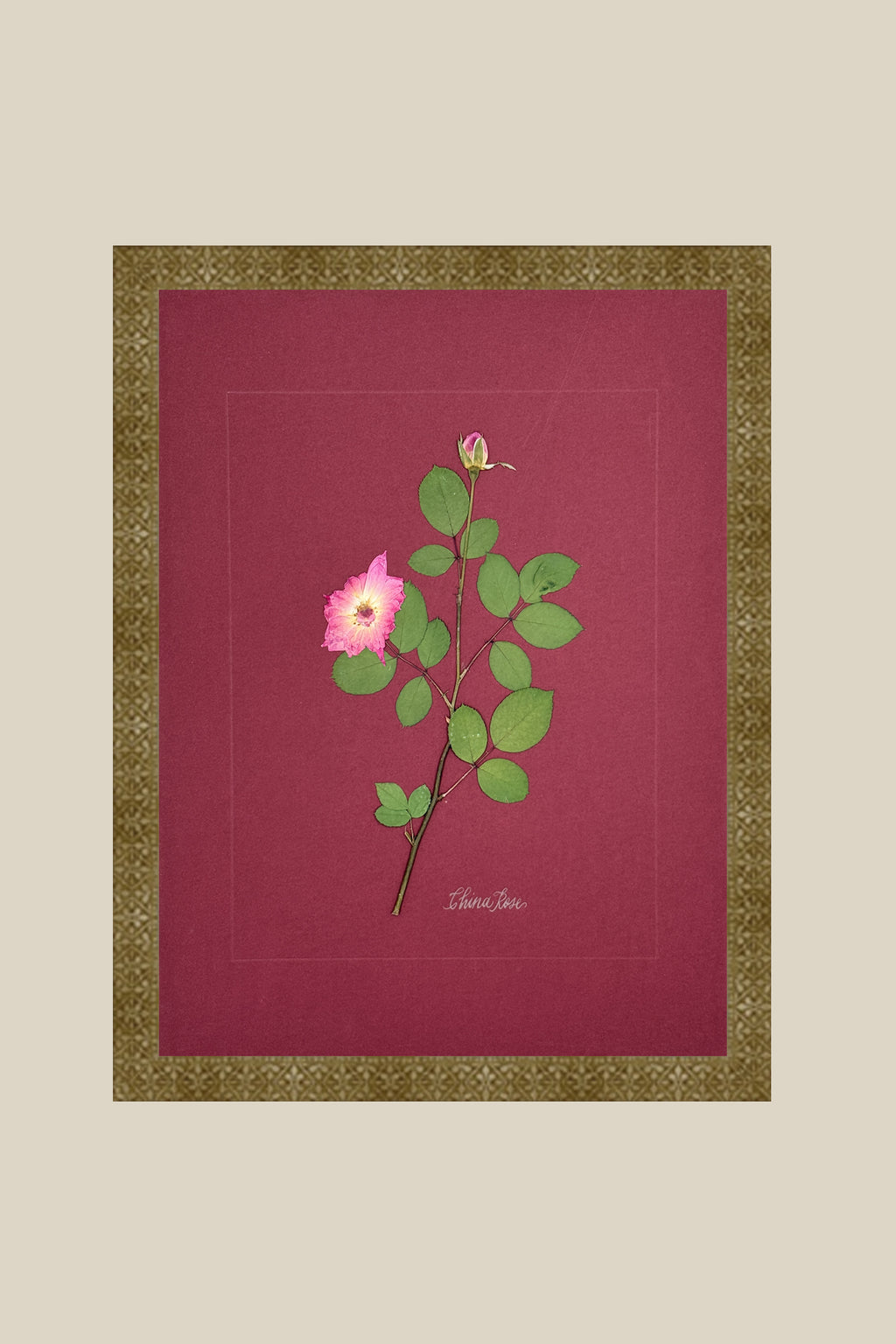 China Rose on wine