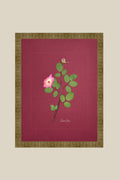 China Rose on wine