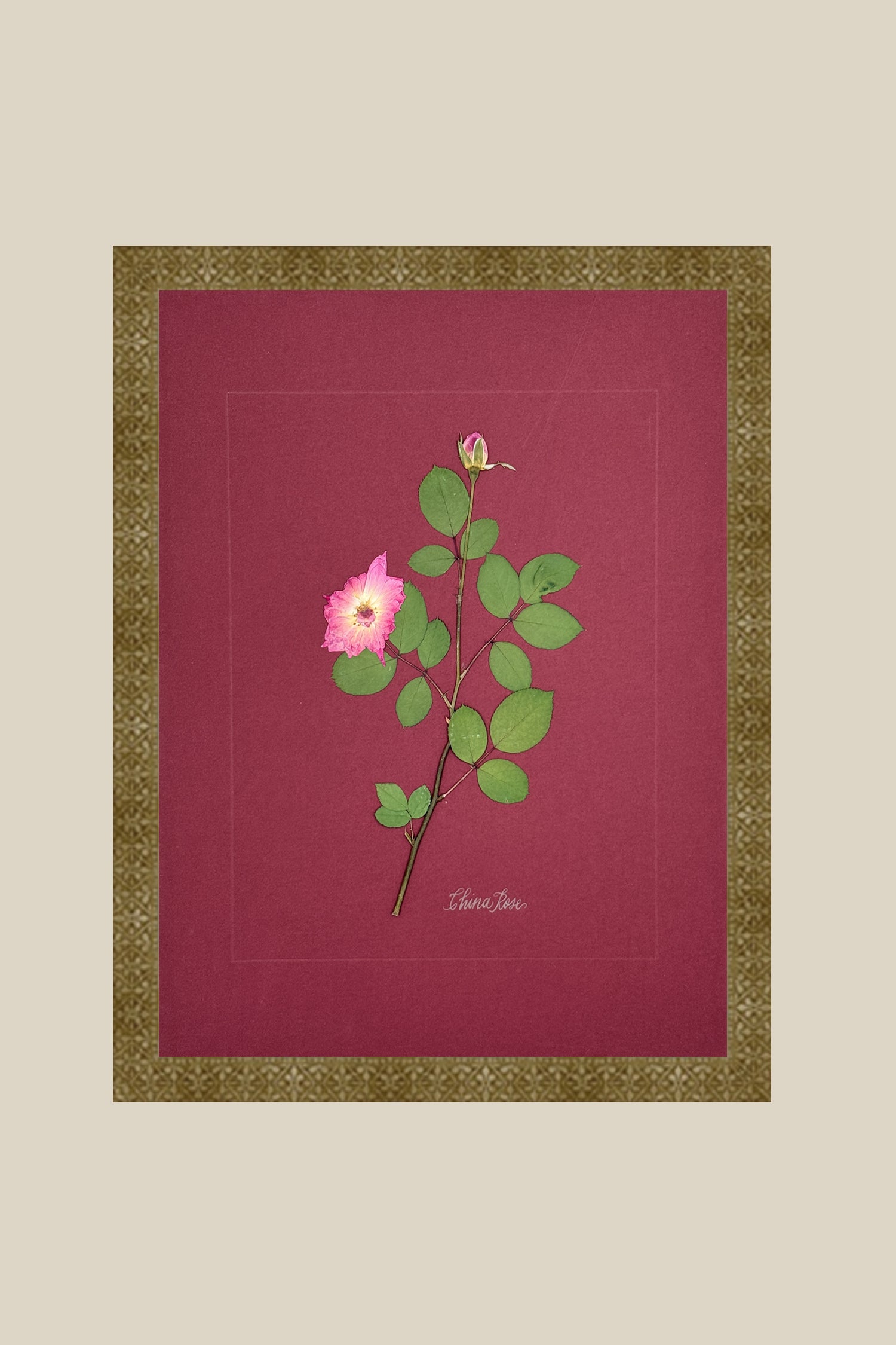 China Rose on wine