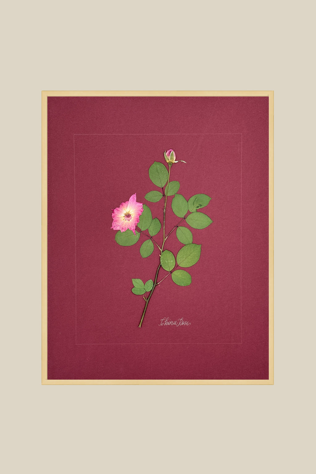China Rose on wine