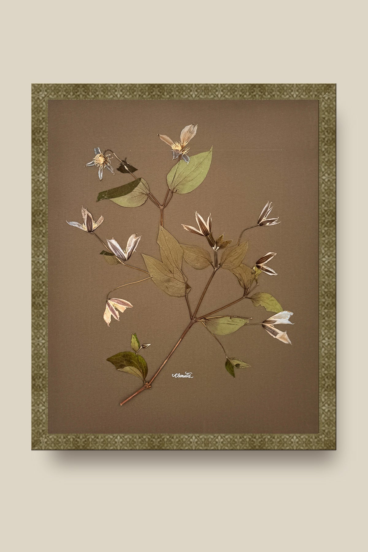 Clematis on Mocha Framed
