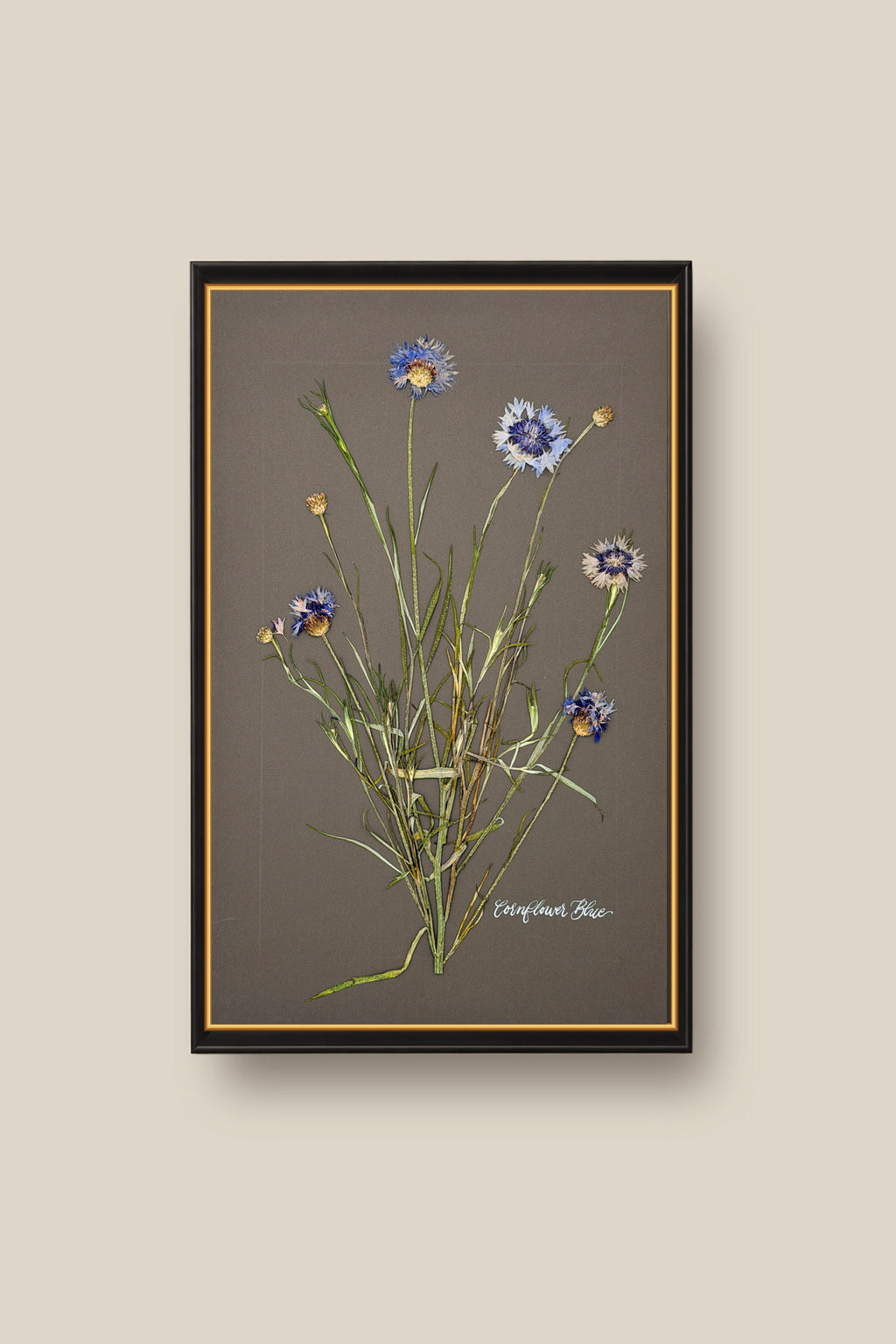 Cornflower Blue Framed