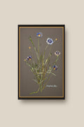 Cornflower Blue Framed