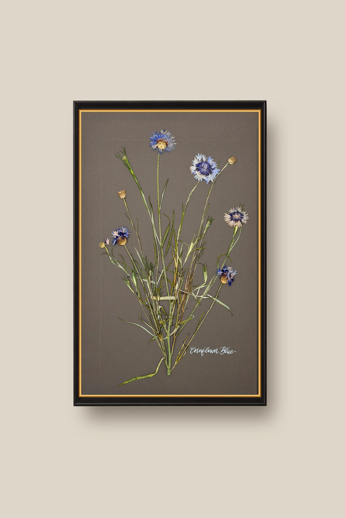 Cornflower Blue Framed