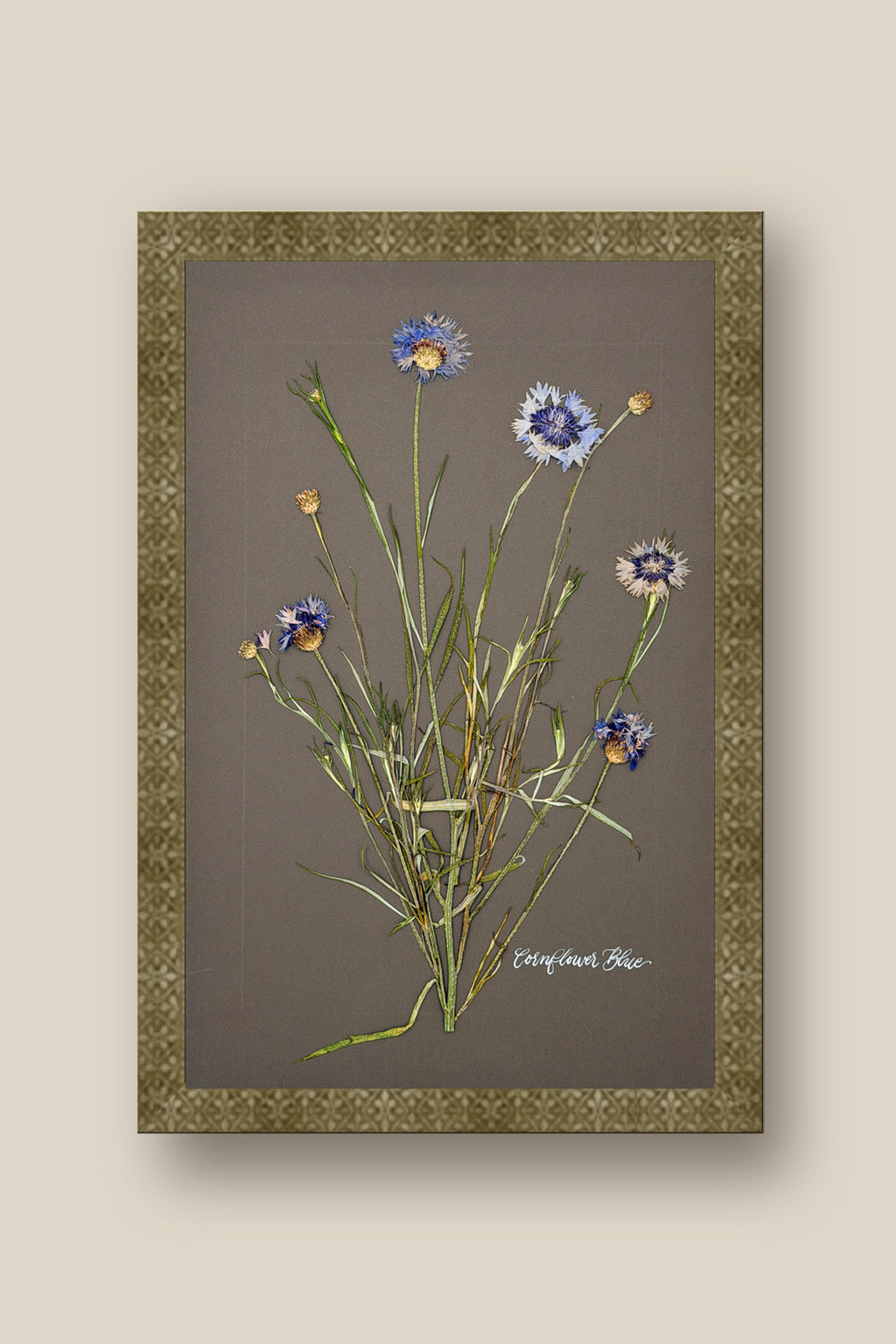 Cornflower Blue Framed