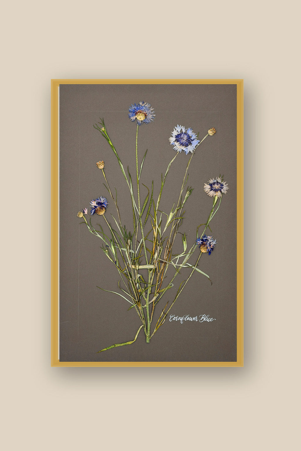 Cornflower Blue Framed