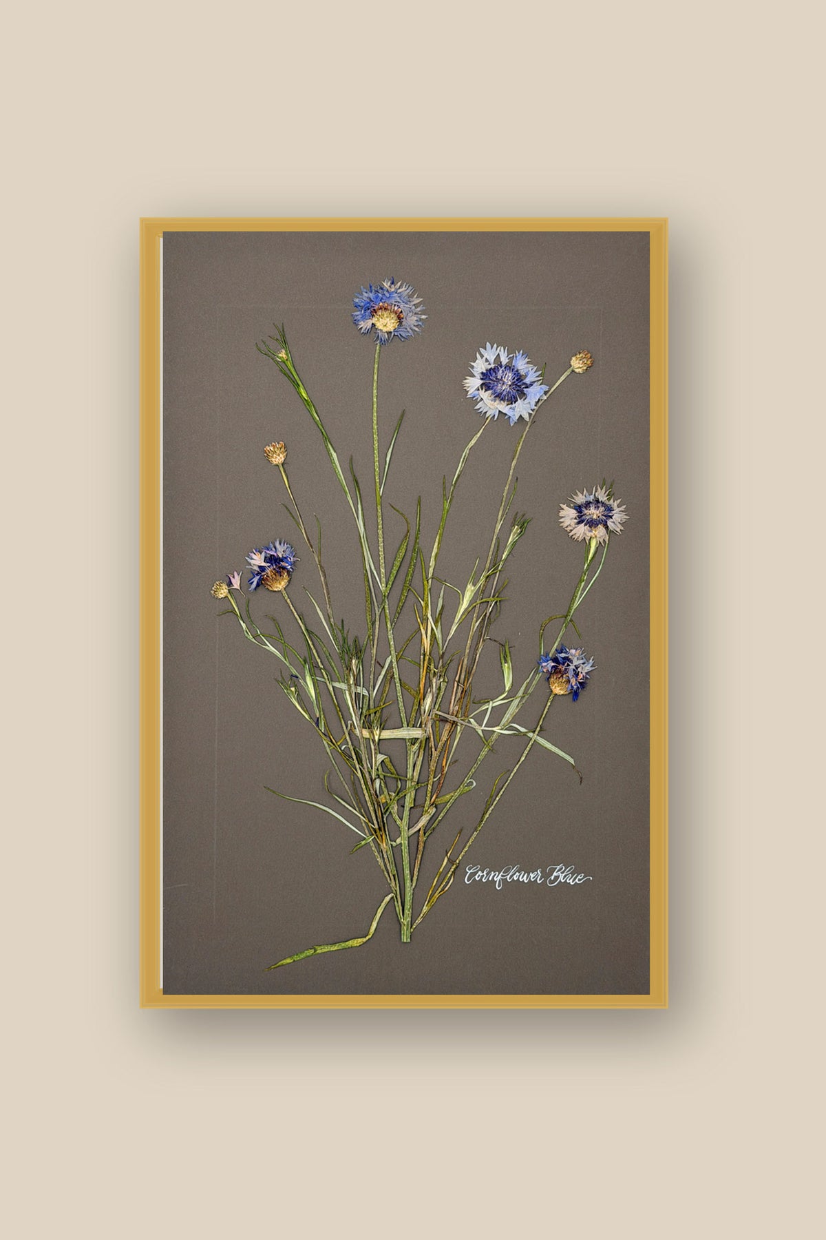 Cornflower Blue Framed