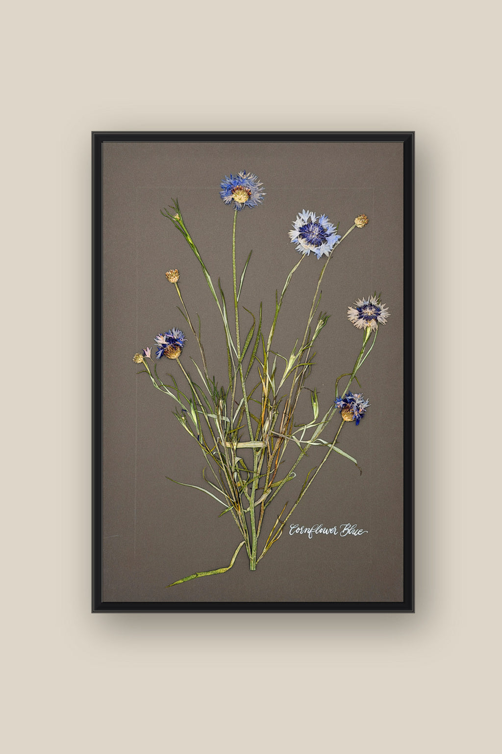 Cornflower Blue Framed