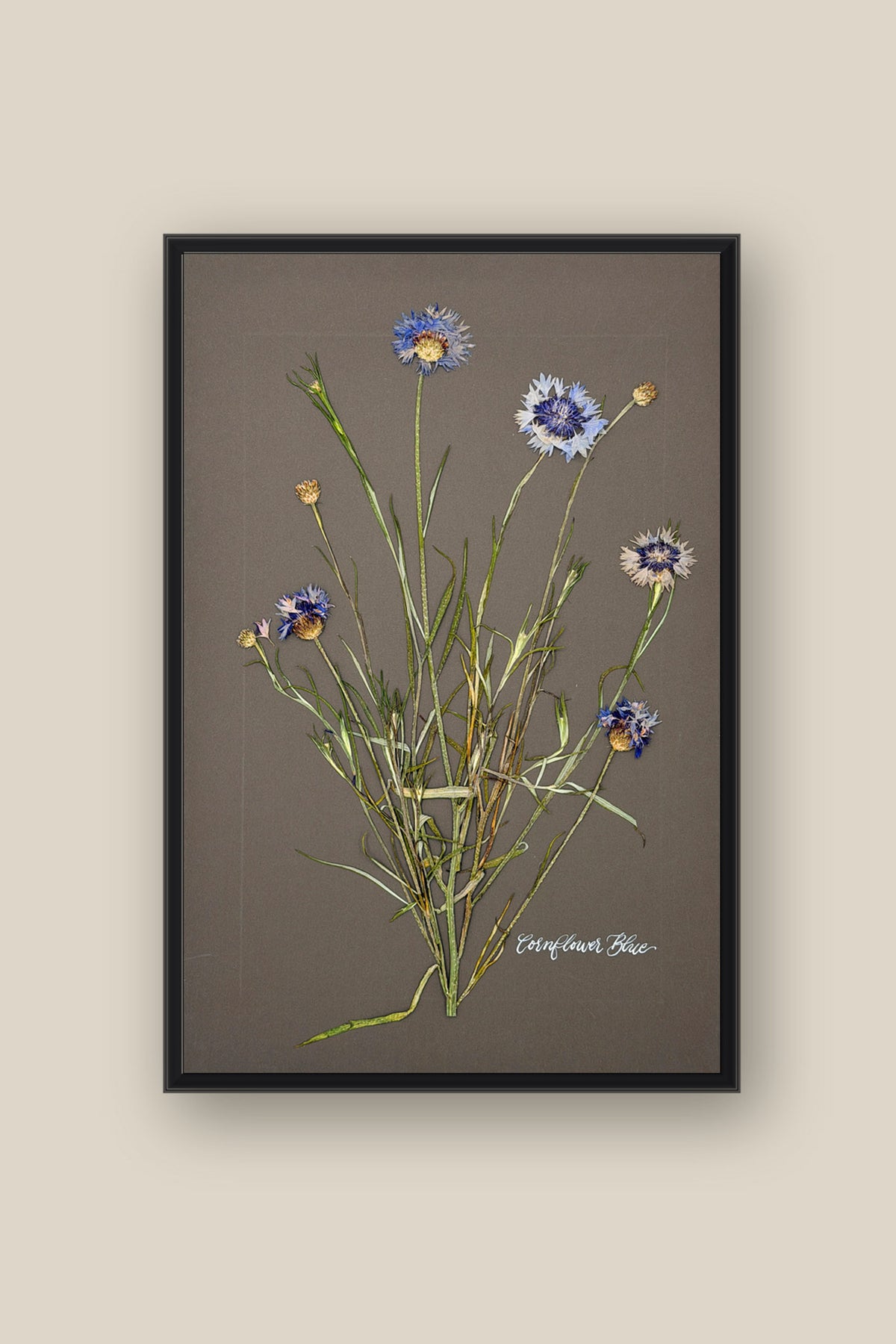 Cornflower Blue Framed