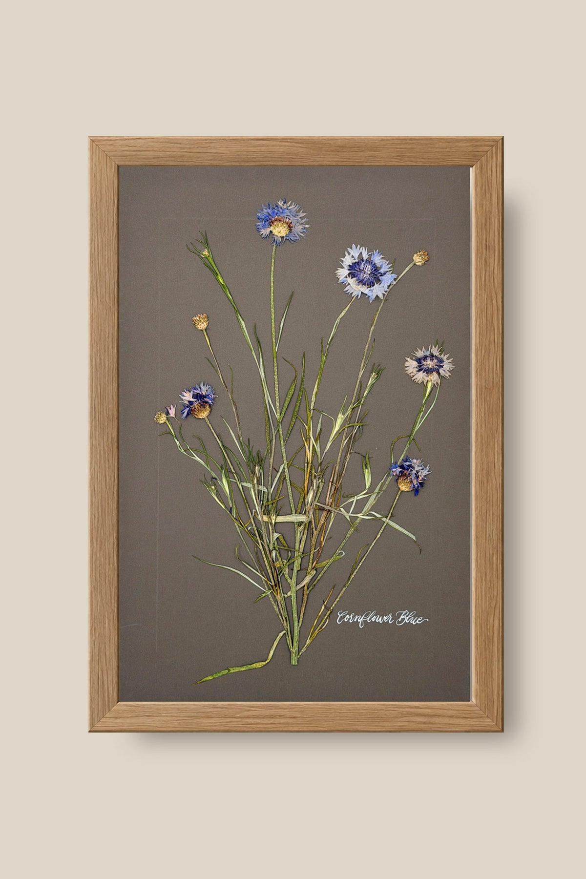 Cornflower Blue Framed