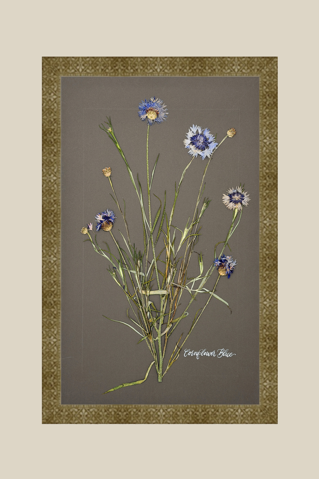 Cornflower Blue