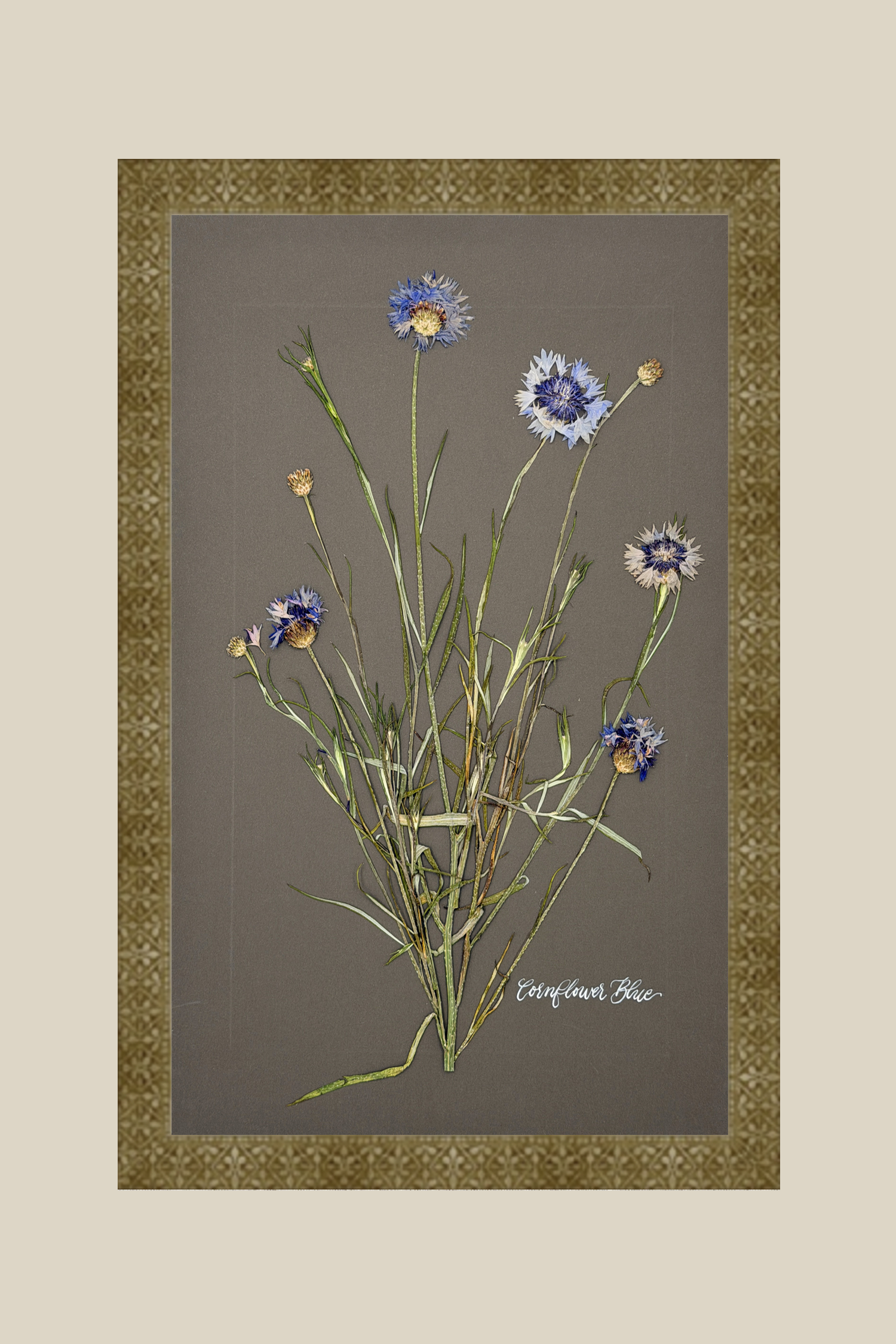 Cornflower Blue