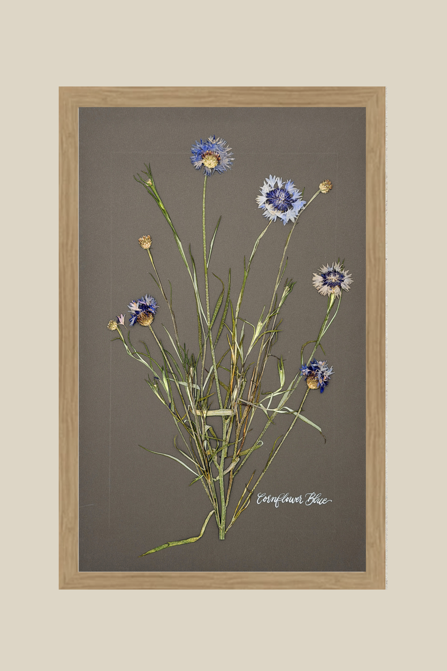 Cornflower Blue