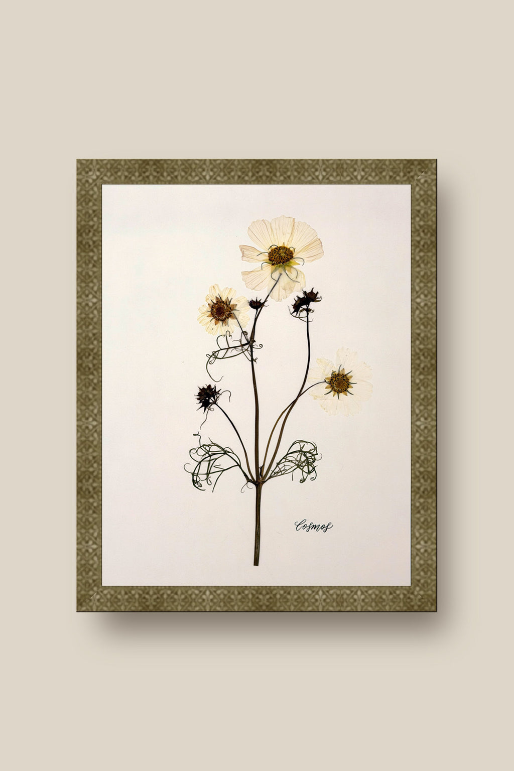 Cosmos Framed