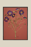 Purple Cosmos on Rust