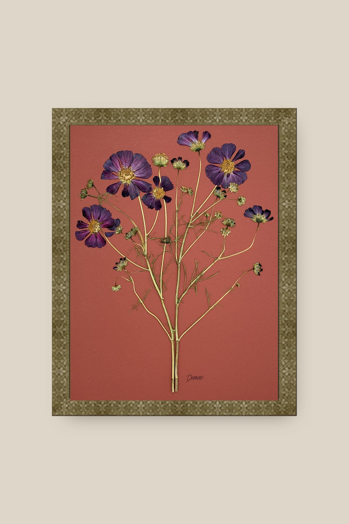 Purple Cosmos on Rust Framed