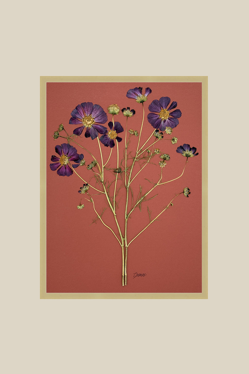 Purple Cosmos on Rust