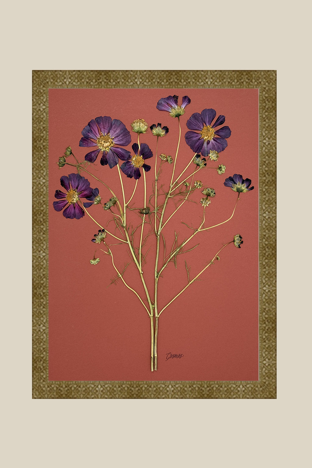 Purple Cosmos on Rust