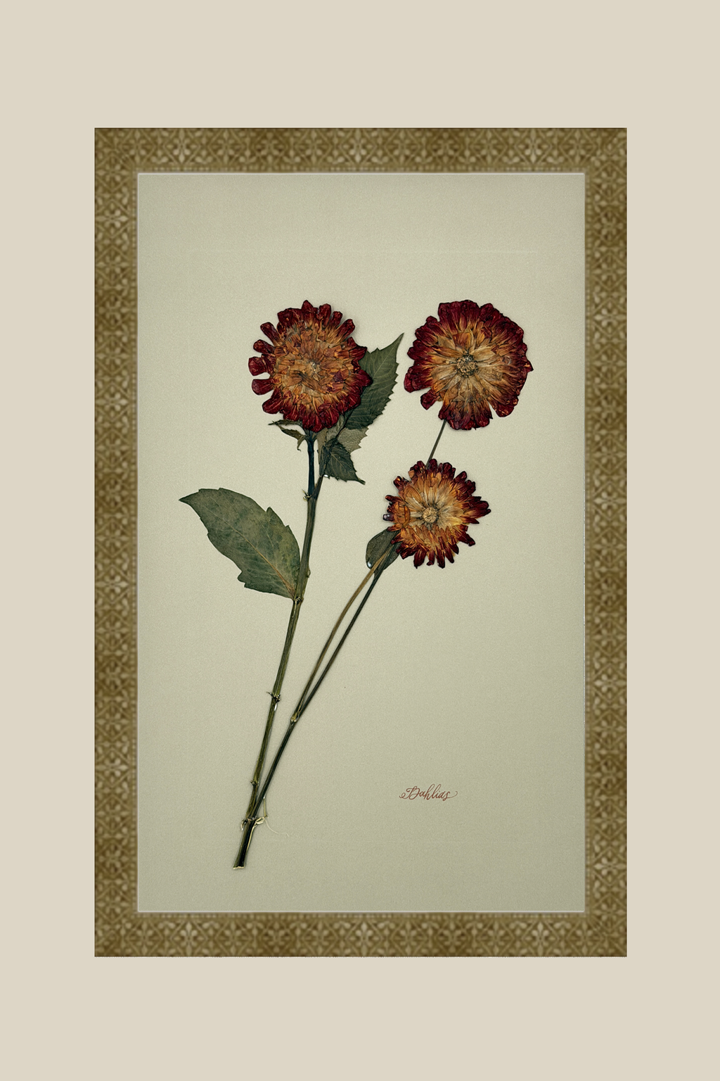 Dahlias on Khaki