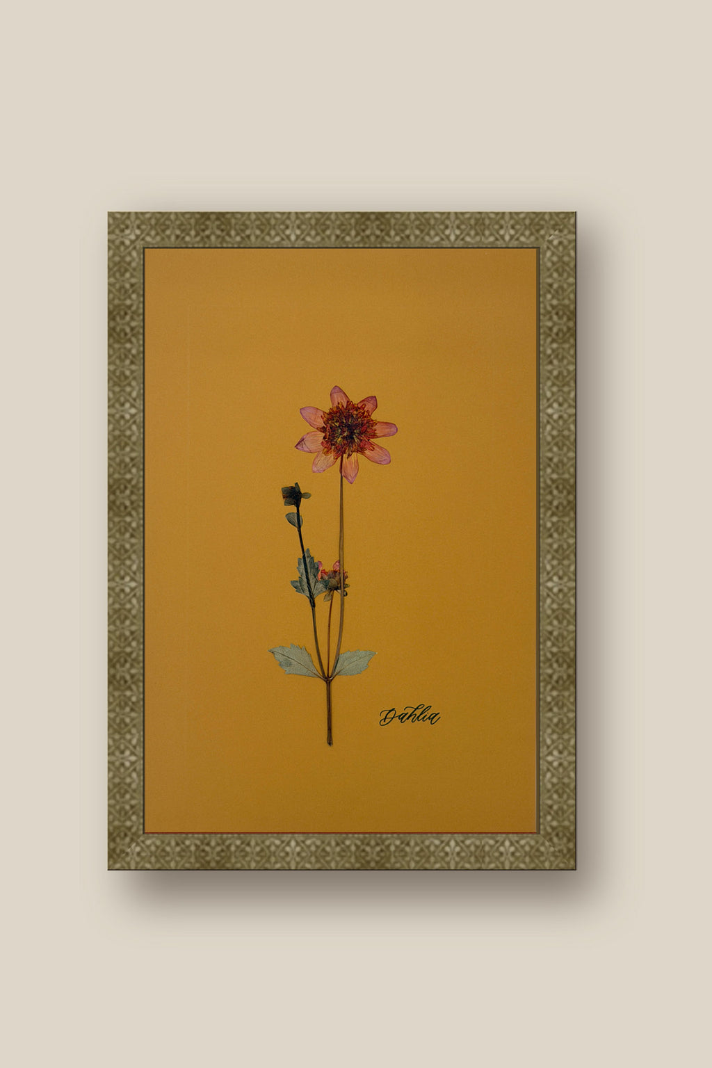Dahlia 2 Framed