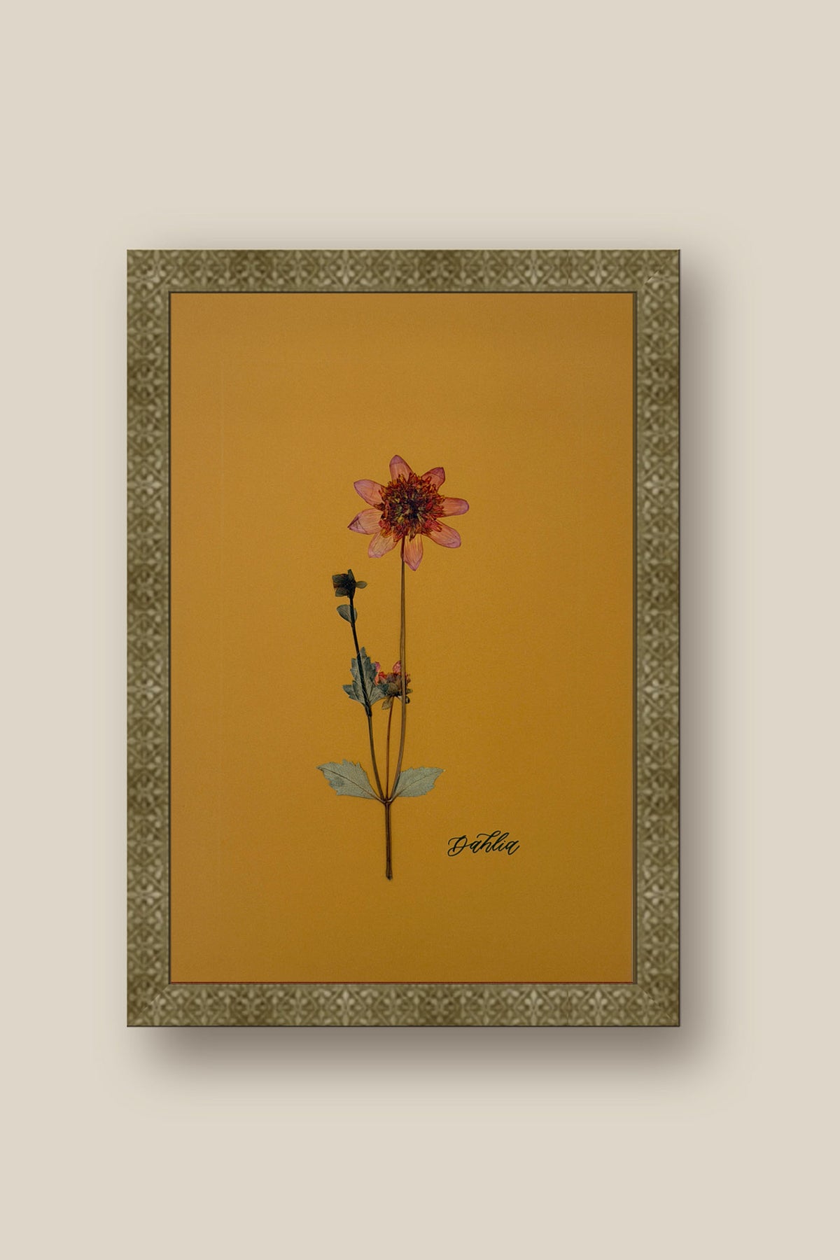 Dahlia 2 Framed